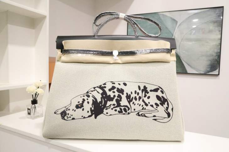 Picture of Hermes Handbags _SKUfw235423944fw